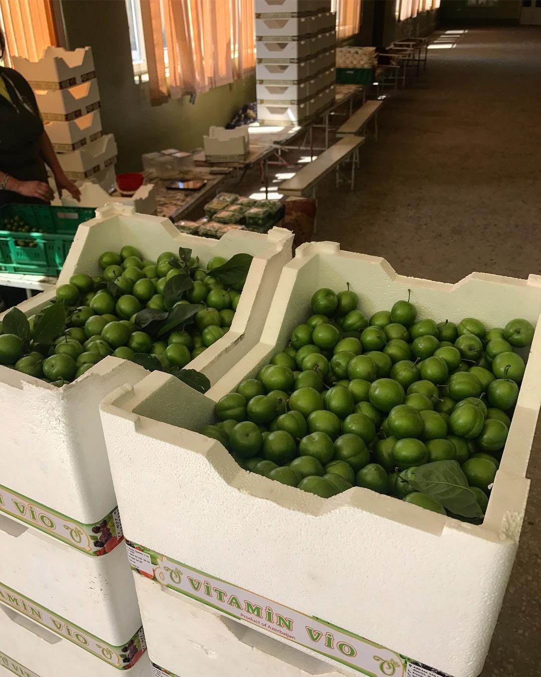 Продукция, готовая к отгрузке